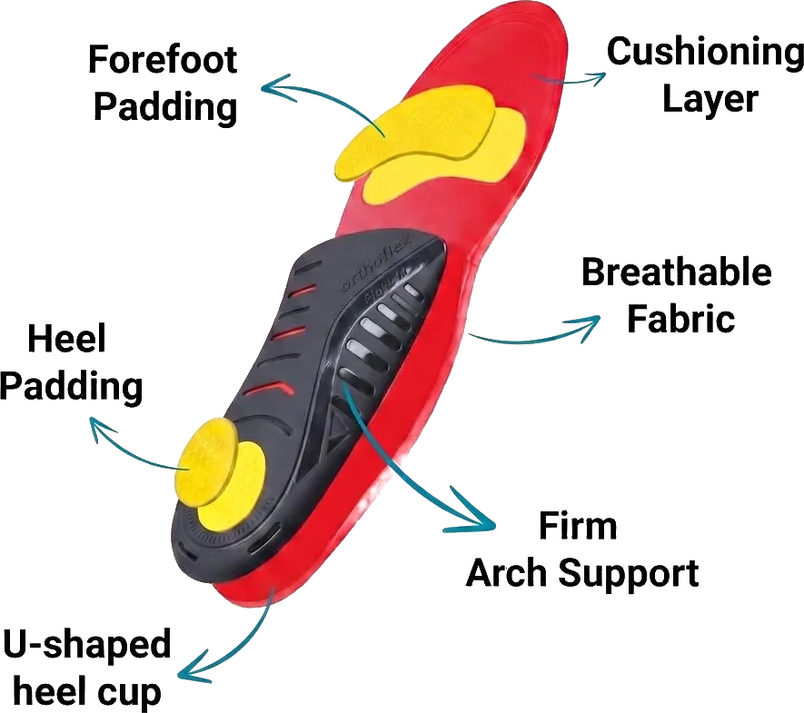 OrthoFlexx Max structure: firm arch support, U-shaped heel cup and cushioning layers